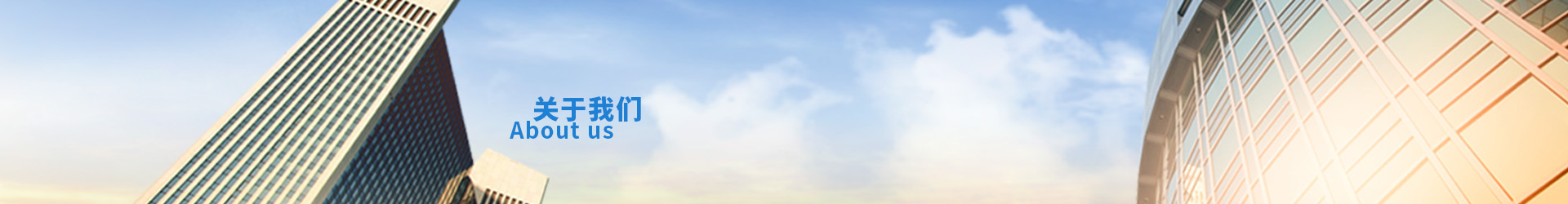 公司簡(jiǎn)介